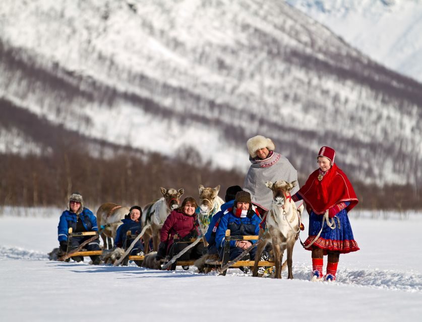 True Locals of the Arctic: Reindeer Sledding at Camp Tamok - What to Bring (and What to Trust the Tour For)