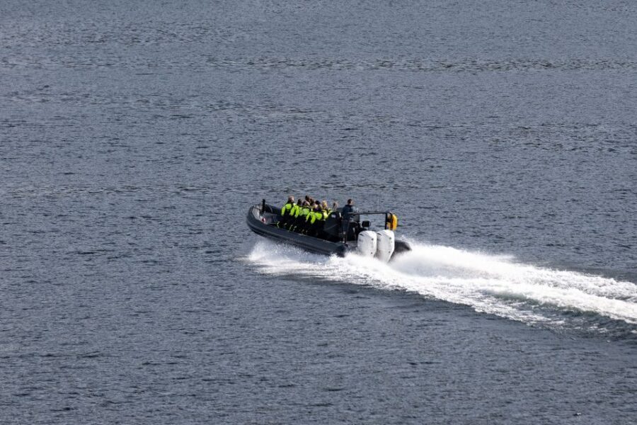 Ulvik: Hardangerfjord Ultimate RIB Tour - Hardangerfjord at speed, with time to actually look