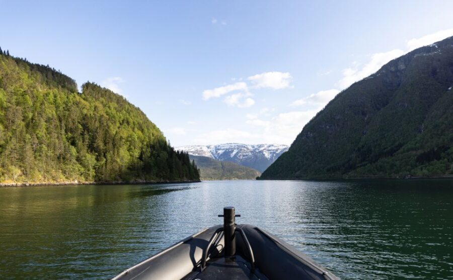 Ulvik: Hardangerfjord Ultimate RIB Tour - Osafjord: where the road ends and fjord life becomes visible