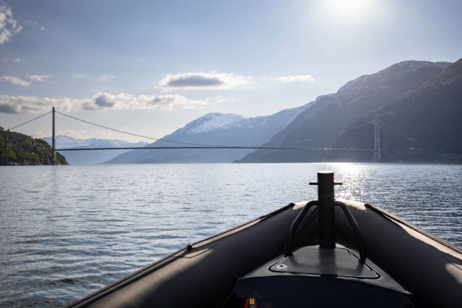 Ulvik: Hardangerfjord Ultimate RIB Tour - Wildlife and photos: how to make the most of the stops