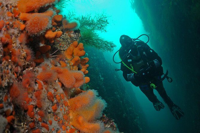 Unique Scuba Diving Experience - Key things that matter before you go