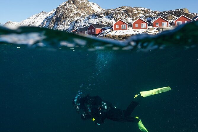 Unique Scuba Diving Experience - The 3-hour flow: what you’ll actually do