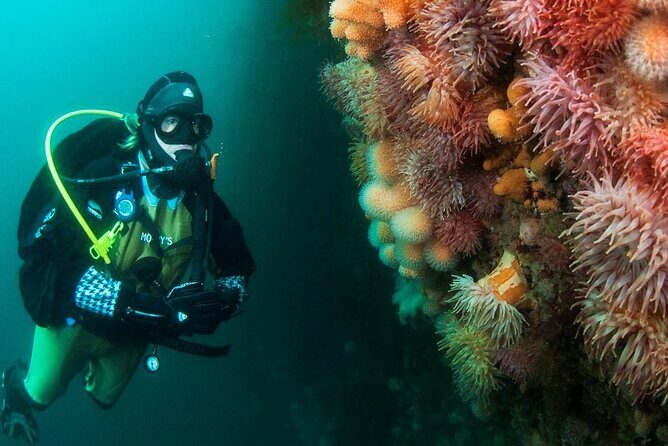 Unique Scuba Diving Experience - Getting there in Ballstad: simple start, sane logistics