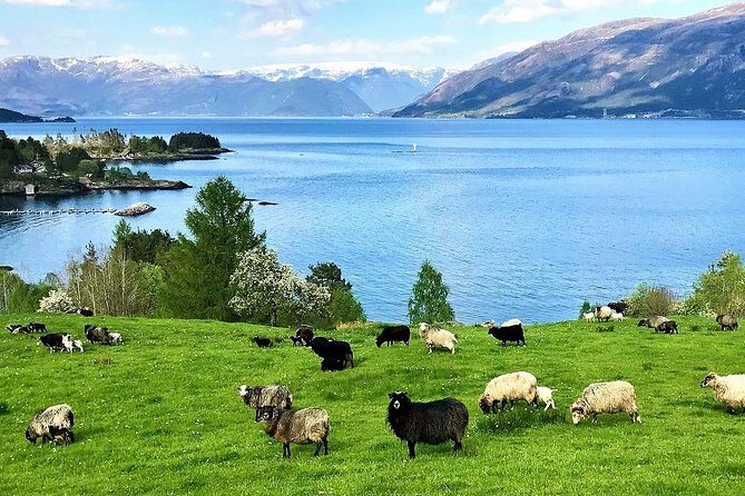 Viking Islands from Alesund: 5-Hour Private Group Tour - The city-center run: Jugendstil, plus the mystery around the fire