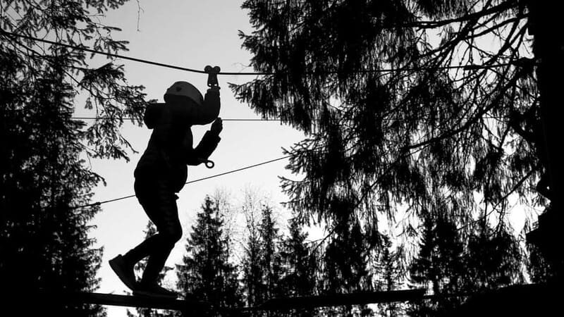 Voss High Rope & Zipline Park - Key things that make this park worth your time