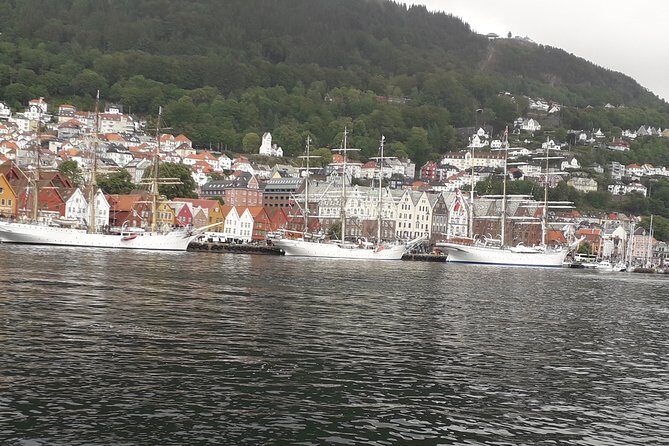 Walking tour: Medieval Spirit of Bergen + sweet Arctic gifts - Key Points You’ll Care About