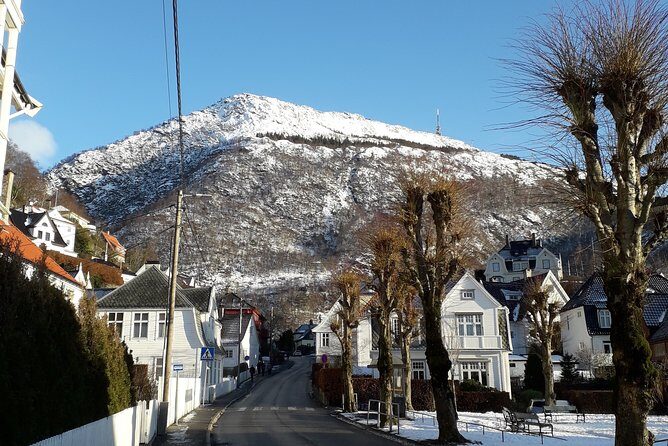 Walking tour: Medieval Spirit of Bergen + sweet Arctic gifts - Meeting at Tourist Information (Strandkaien) and How the Timing Works