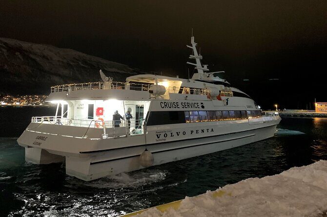Whale Safari in Tromso - Tromsø Fjords, Whale Search Mode, and a Very Real Expectation Check