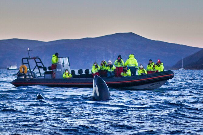 Whale Watching RIB Boat Tour in Skjervoy from Tromso - Skjervøy: suits first, then the RIB adventure