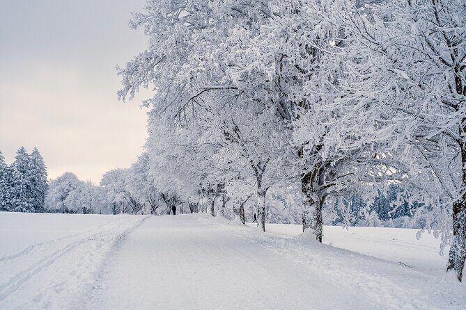 Winter E-Bike Tour: A Royal Coastal Adventure - Food stops: cured meats, craft beer, coffee or chocolate, and the shrimp buffet reality