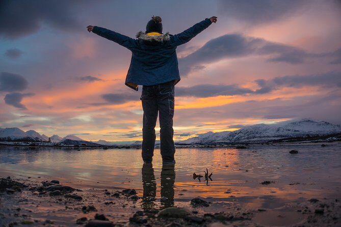 Winter Fjord Road Trip with Wandering Owl - The Wildlife Study Angle: What You’re Likely (and Not Likely) To See