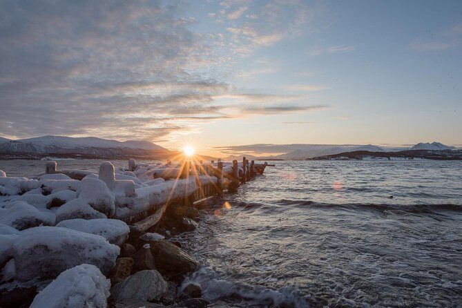 Winter Fjord Road Trip with Wandering Owl - Your Guide Makes the Day: Photography, Timing, and Local Stories