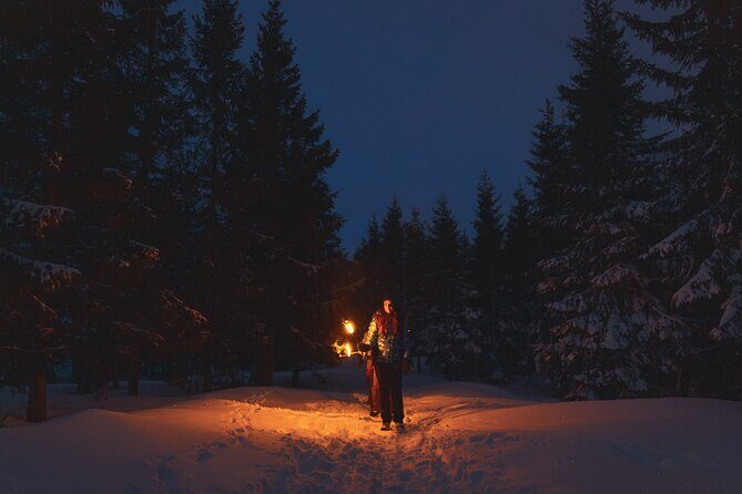 Winter Forest Walk and Campfire by Torchlight in Oslo - Winter torchlight walk in Oslo: what this feels like