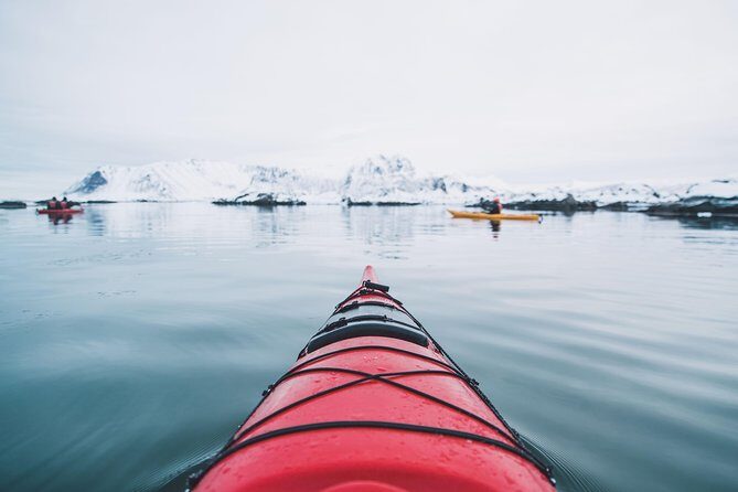 Winter Half Day Kayak Tour - The 3-Hour Paddling Plan: Calm Water, Frozen Coastline, and a Real Break