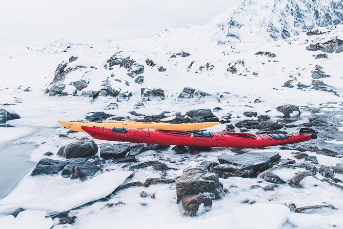 Winter Half Day Kayak Tour - Group Size and Guide Attention: Why Max 10 Changes Everything