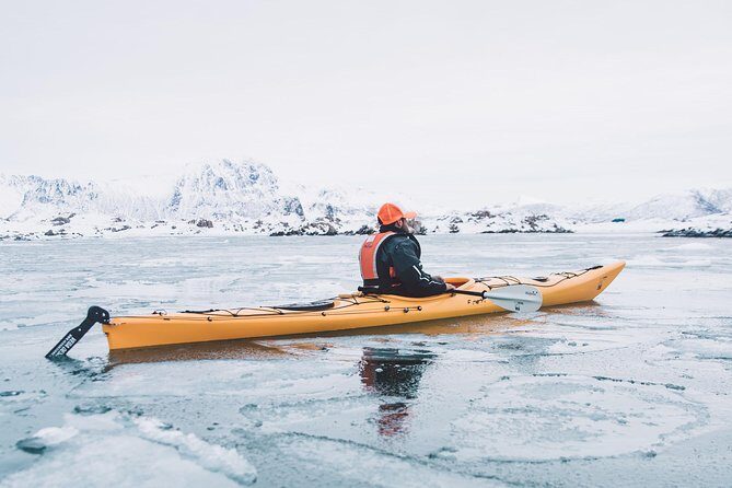 Winter Half Day Kayak Tour - Price of $118.45: Is It Worth It in Lofoten Winter?
