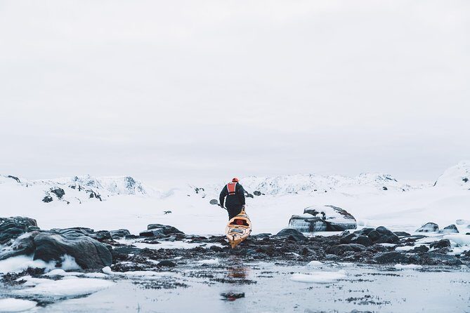 Winter Half Day Kayak Tour - Who This Winter Kayak Tour Is Best For