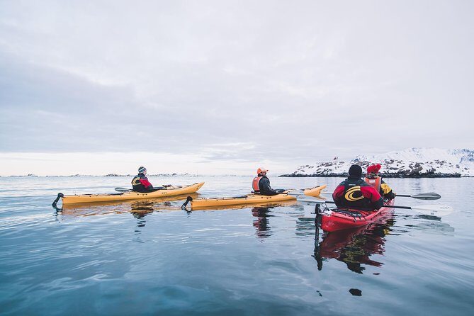 Winter Half Day Kayak Tour - Practical Details That Matter on the Water