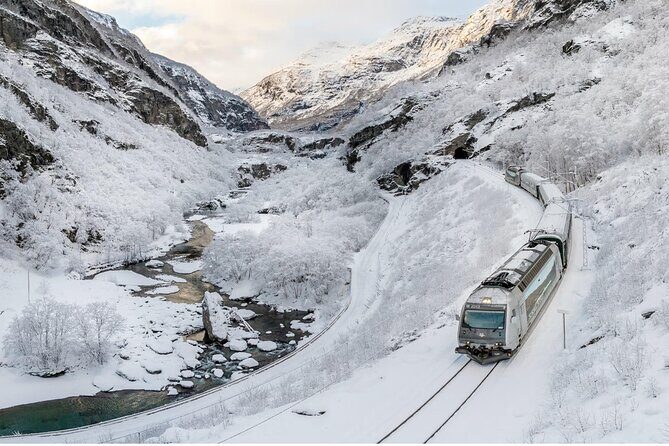 Winter Tour Viking Village, Nærøyfjord Cruise and Flåm Railway - Key highlights you’ll feel fast