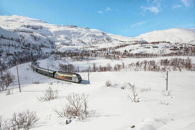 Winter Tour Viking Village, Nærøyfjord Cruise and Flåm Railway - Nærøyfjord Cruise to Flåm: Why the Ship Design Helps in Winter